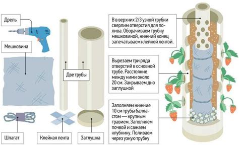 Недостатки и преимущества различных способов обработки клубники