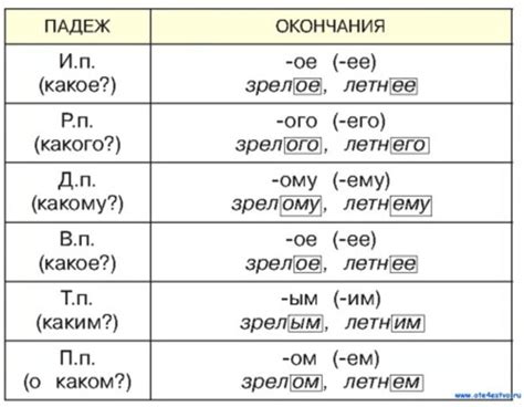 Некачественные прилагательные в русском языке: что они означают