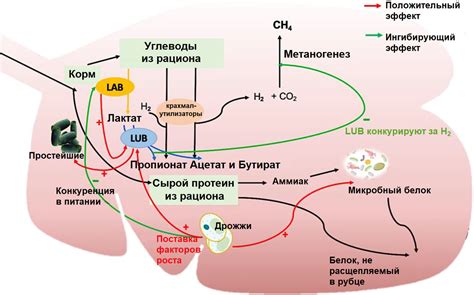 Неконтролируемая ферментация в рубце