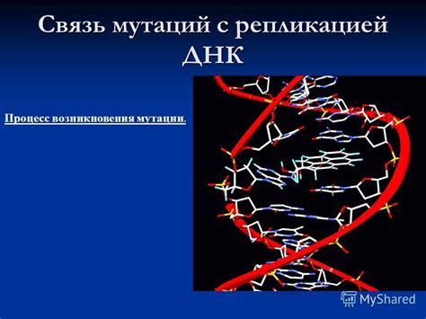 Необходимость контроля над репликацией ДНК