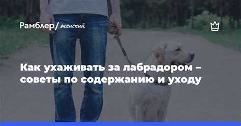 Необходимость регулярного посещения ветеринара для здоровья домашних питомцев