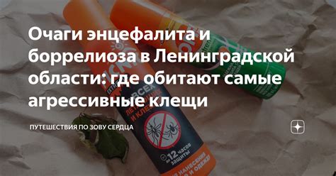 Необходимые меры предосторожности в регионах, где обитают агрессивные хищники