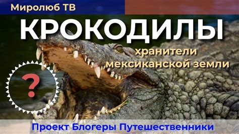 Необычное видение: значение встречи с рептилией на публичной территории?