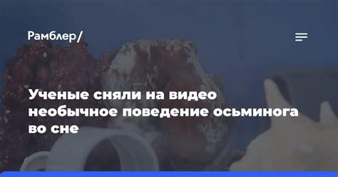 Необычное поведение во снах: Запрещенное действие в невероятной реальности