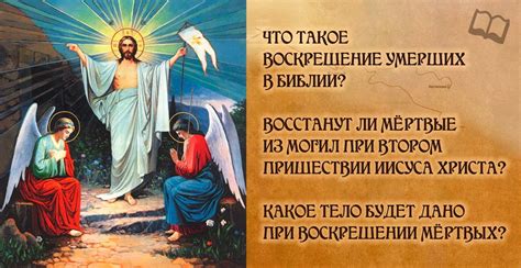 Неожиданное пробуждение: глубокие смыслы снов о воскрешении жизни из мертвого