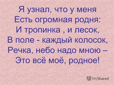 Неожиданность бейби сори: что меня ожидало и что я узнал?