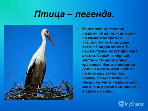 Неожиданные трактовки аистов в мужских сновидениях: символ удачи, странных перемещений и необычных ситуаций