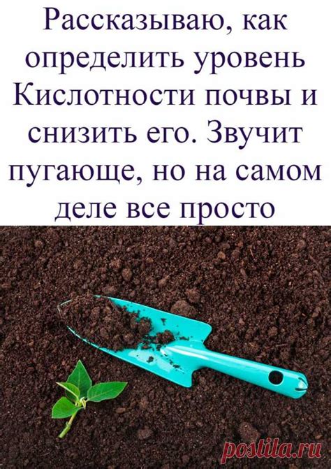 Неподходящий уровень кислотности почвы