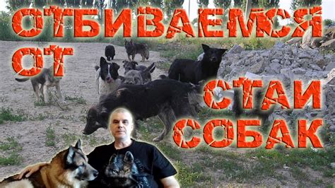 Непробиваемые скелеты: как избежать смерти и защититься