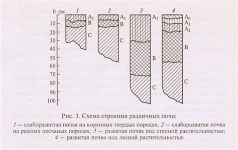 Неровности на поверхности почвы