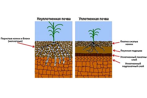 Несоответствующая почва