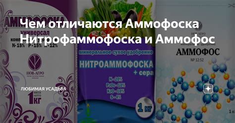 Нитроаммофоска и азофоска: сравнение составов