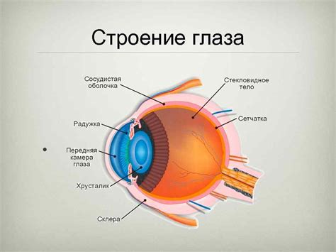 Новый этап: прозрение и внутреннее преобразование