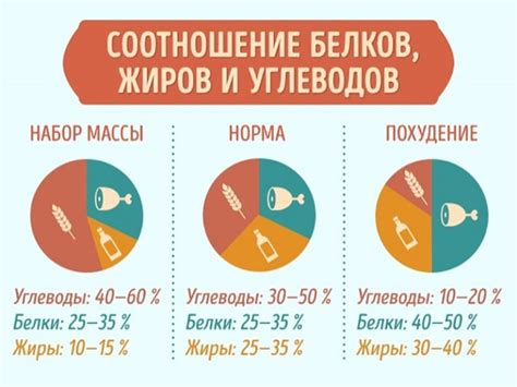 Норма потребления белка