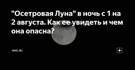 Ночь: чем она привлекает?