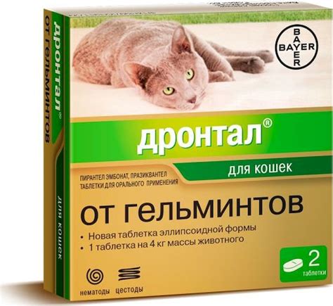 Нужны ли препараты от глистов для котенка?