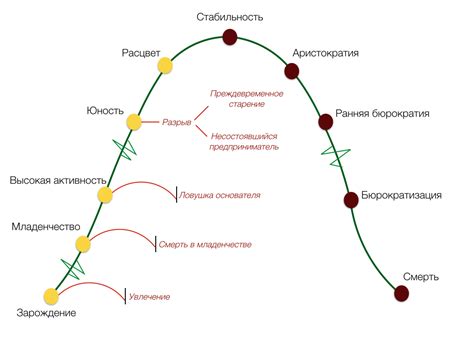 Обзор циклов развития организаций