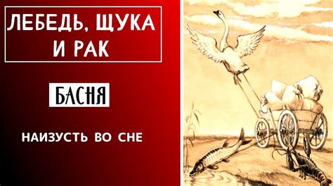 Облысевшая щука в сне: пророческий знак или просто сказка?