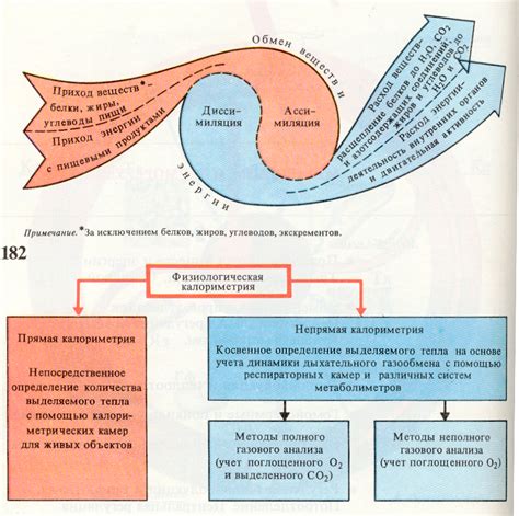 Обмен веществ и его влияние