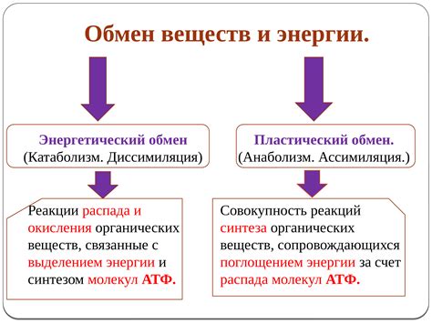 Обмен веществ и охлаждение