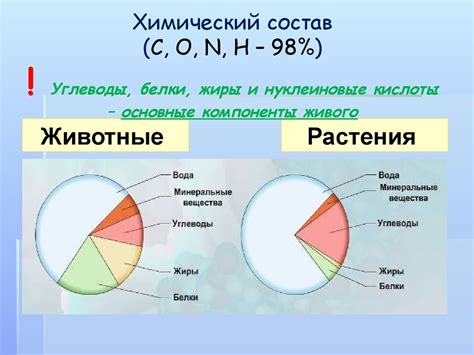 Обмен веществ организмов: важность и особенности