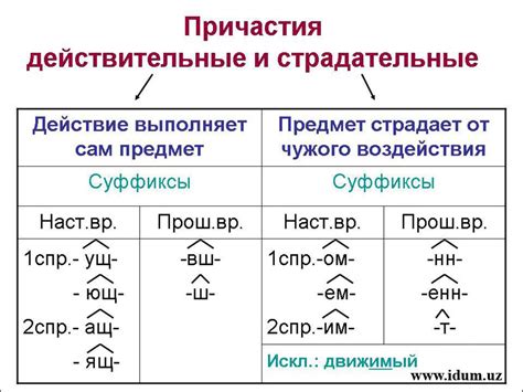 Образование краткого страдательного причастия от глаголов на -ть