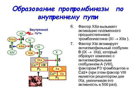 Образование релятивистского плазменного пучка