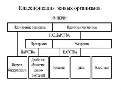 Общая информация о классификации организмов