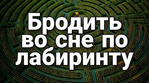 Общая информация о толковании видений во сне