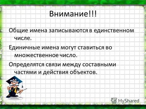 Общие и единичные имена объектов: что это такое?