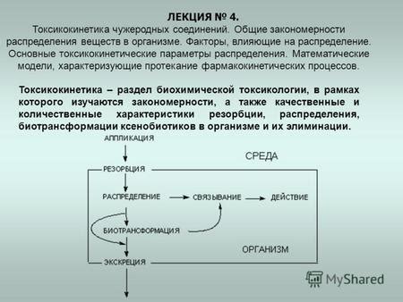 Общие факторы влияющие на утреннюю гипотонию