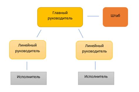 Обязанности и функции сотрудников организации