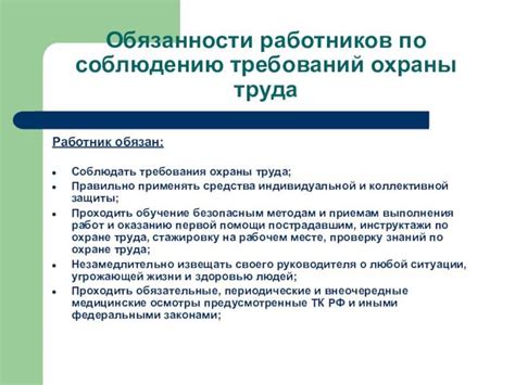 Обязанности таможенного работника и их особенности