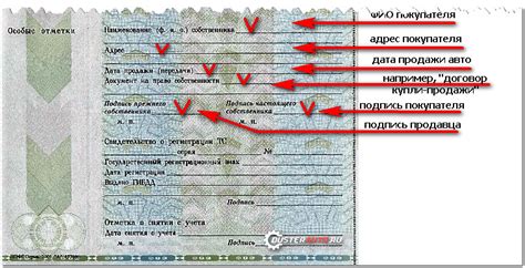 Обязательные правила при продаже автомобиля