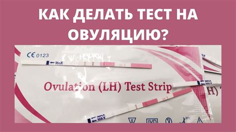 Овуляционные тесты: как определить положительный результат