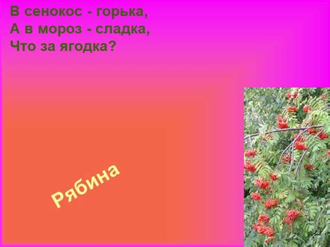 Ознакомьтесь с волшебной силой снов о ягодах