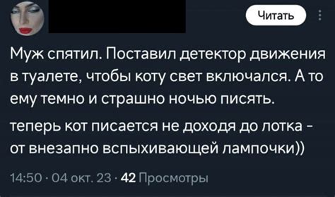 Означает, что коту не страшно