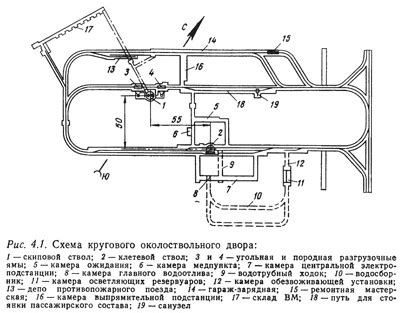 Околоствольный двор: определение и функция