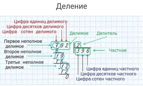 Окончание деления