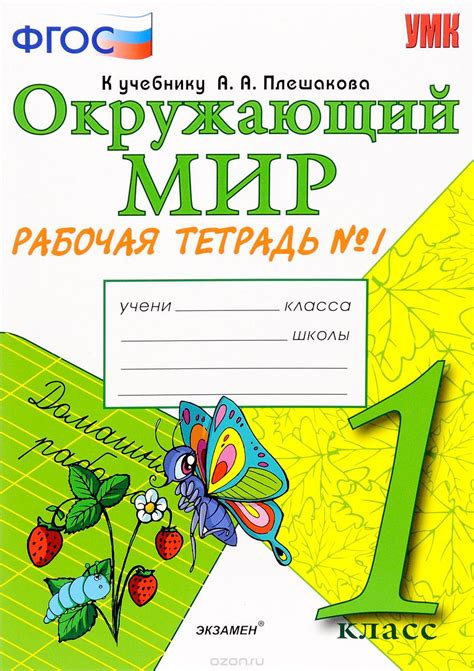 Окружающий мир 3 класс Плешаков: что это такое?