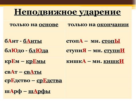 Омографы со сменой ударения во множественном числе