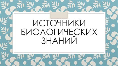 Онлайн каналы о разгадке снов: надежные источники знаний