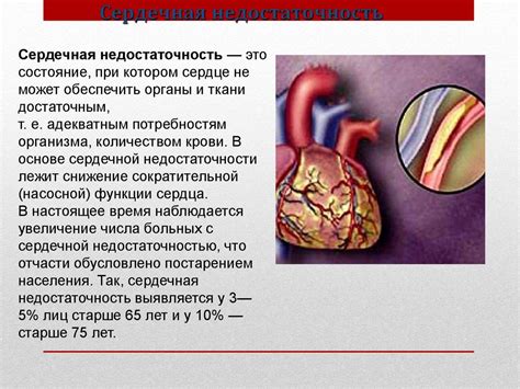 Опасности нестабильного уровня сахара: сердечно-сосудистые заболевания