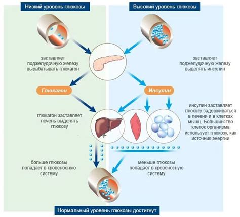 Опасности низкого уровня глюкозы