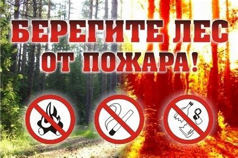 Опасность пожаров в лесу