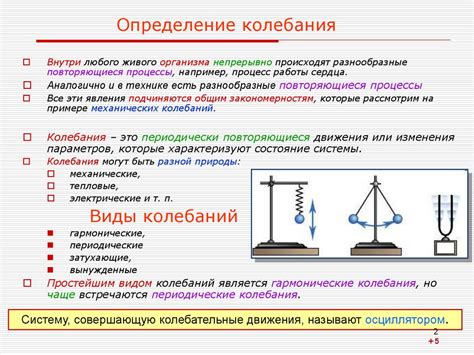 Определение автоколебаний и свободных колебаний