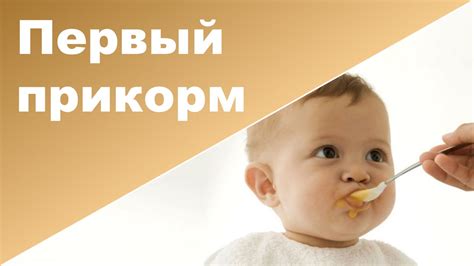 Определение важности первого прикорма для ребенка