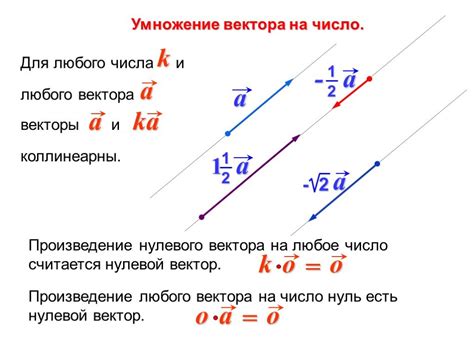 Определение вектора в физике 9 класс