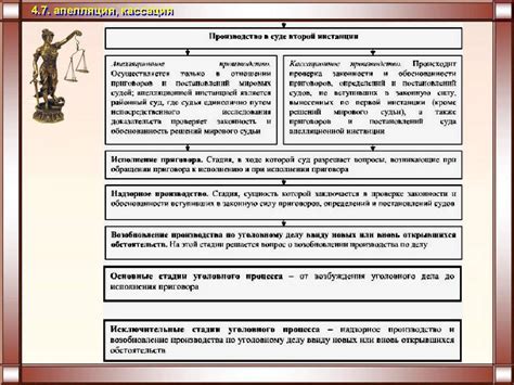 Определение и основные принципы кассации