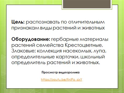 Определение и сущность бинарной номенклатуры